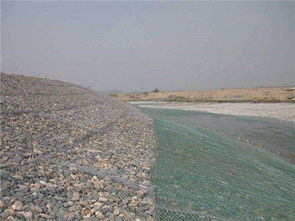 河堤镀锌覆塑格宾网厂家使用寿命